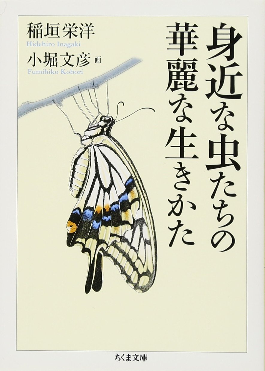 Amazon.co.jp: 身近な虫たちの華麗な生きかた (ちくま文庫 い 71