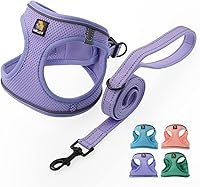 BELLA & PAL Step-in Vest Harness & Leash Set for Small Medium Dogs - No Pull, Breathable Air Mesh, Reflective Strips, Lavender XS