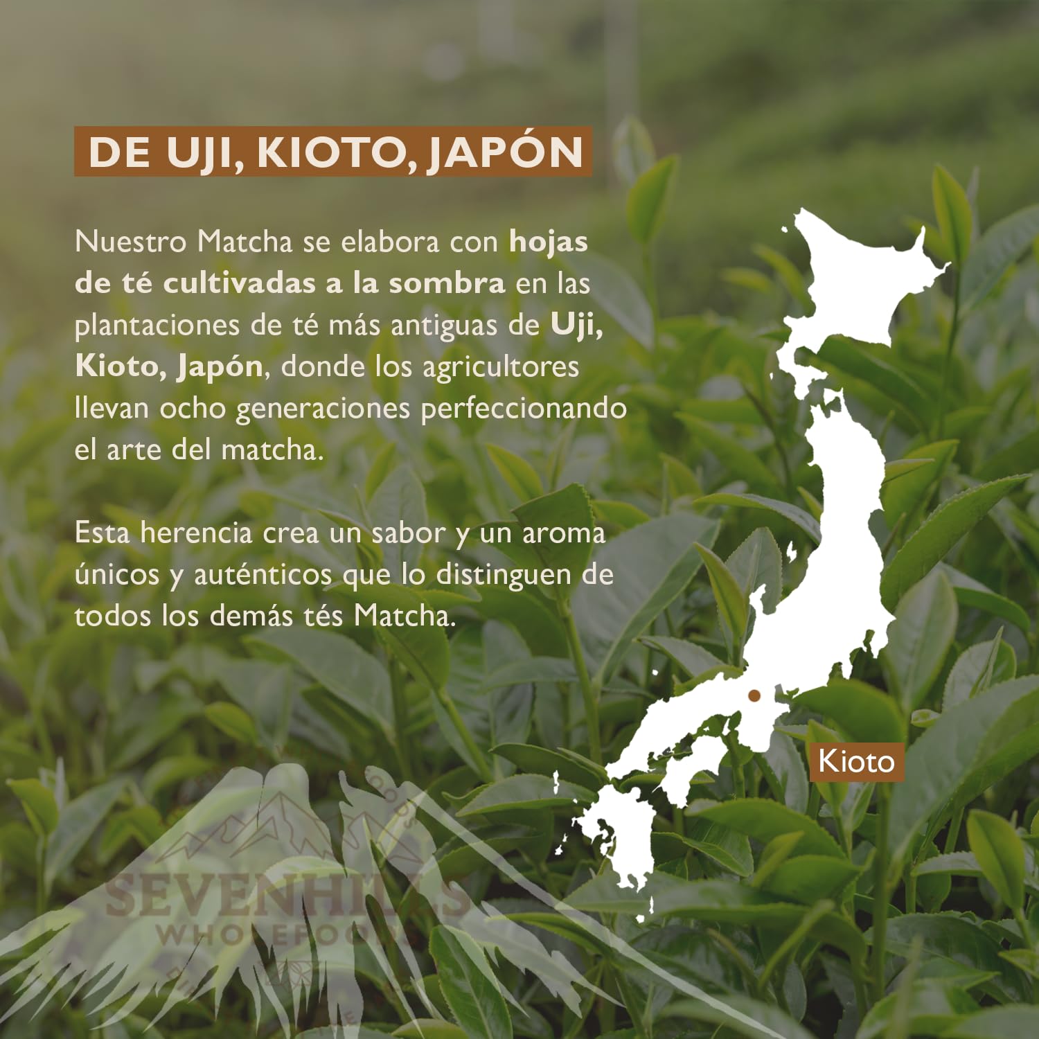 Sevenhills Wholefoods Matcha Té Verde Japonés Ceremonial Orgánico 200g, En Polvo, de Uji, Kyoto, Japon