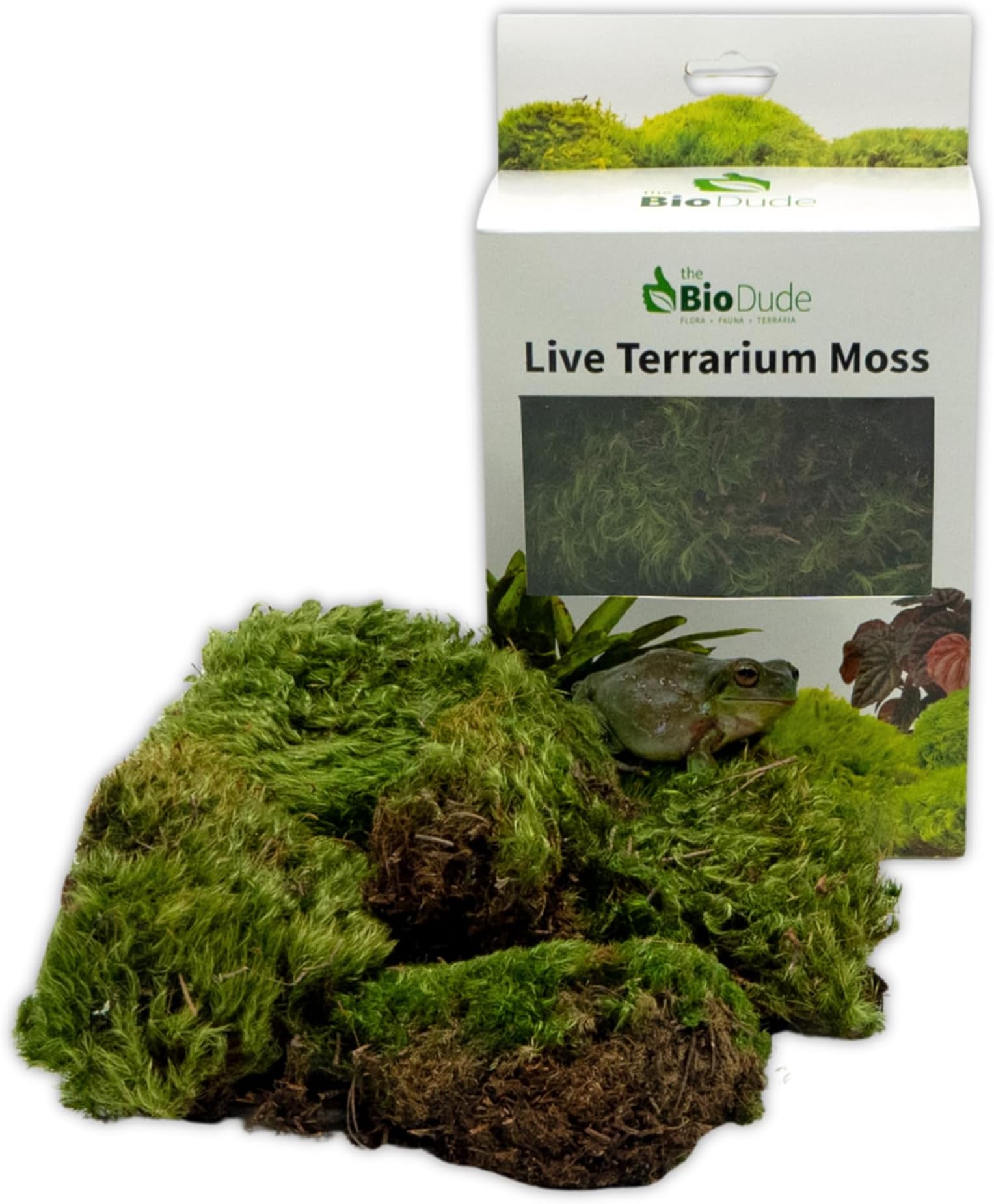 BIODUDE Live Terrarium Moss - Natural Pillow Moss | Natural Pillow Moss