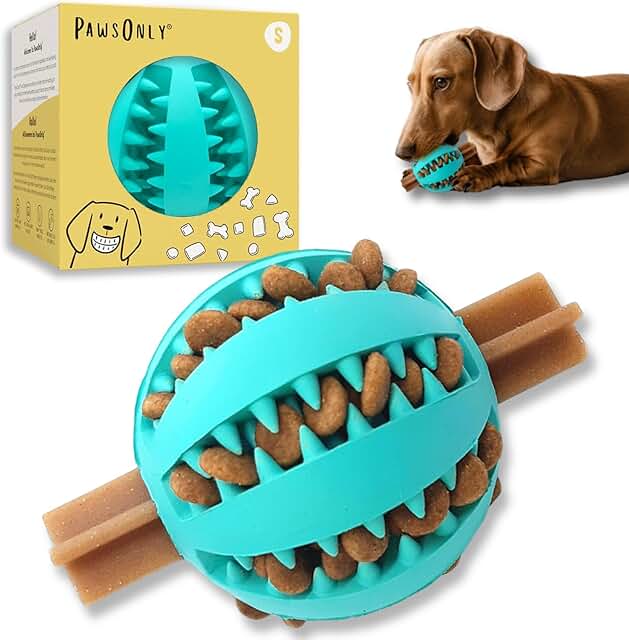 PawsOnly | Futterball für Hunde | Hundespielzeug Intelligenz | Leckerli Ball | Denkspiele | Snackball Naturkautschuk | Beschäftigung Hund | Zahnball (Klein 6 cm, Blau) product image