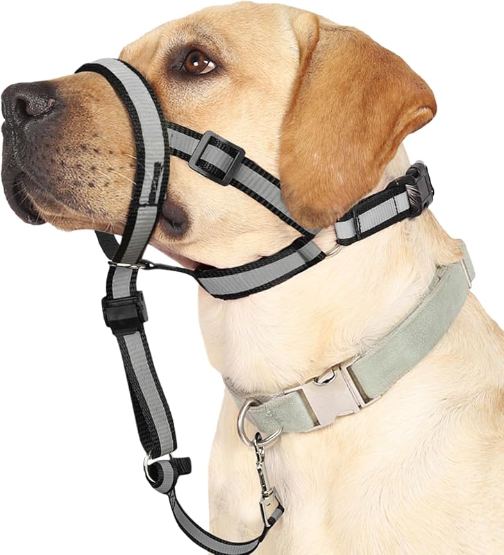 Reflective Head Collar, No Pull Collar for Small Medium Dogs | Anti-Pull Muzzle Leash for Puppy, Adjustable Soft Dog Halter for Easy Control on Walks, Outdoor Activities