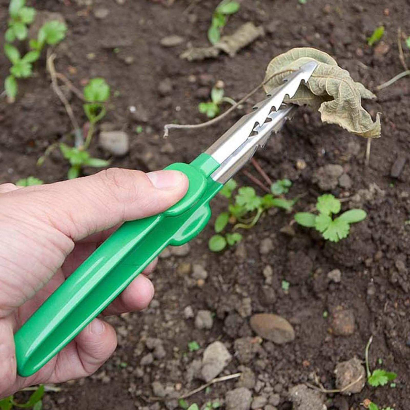 Pinzette per la cura delle piante grasse Clip portatile in acciaio inossidabile Strumento di giardinaggio multifunzionale per la manipolazione delle piante Lavoro accurato Uso educativo