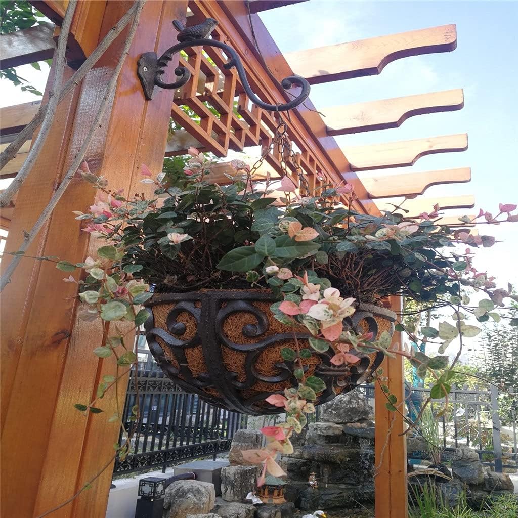 Vintage Black Cast Iron Wall Mounted Hooks with Bird Figurines Decor on for Hanging Flower Pot or Candle Lantern Outdoor