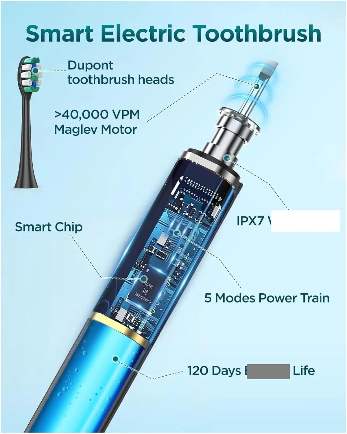 Fit for Electric Toothbrush for Adults and Kids 12+, 8 Brush Heads, IPX7 Travel Toothbrush with Case(SH508-BLK)
