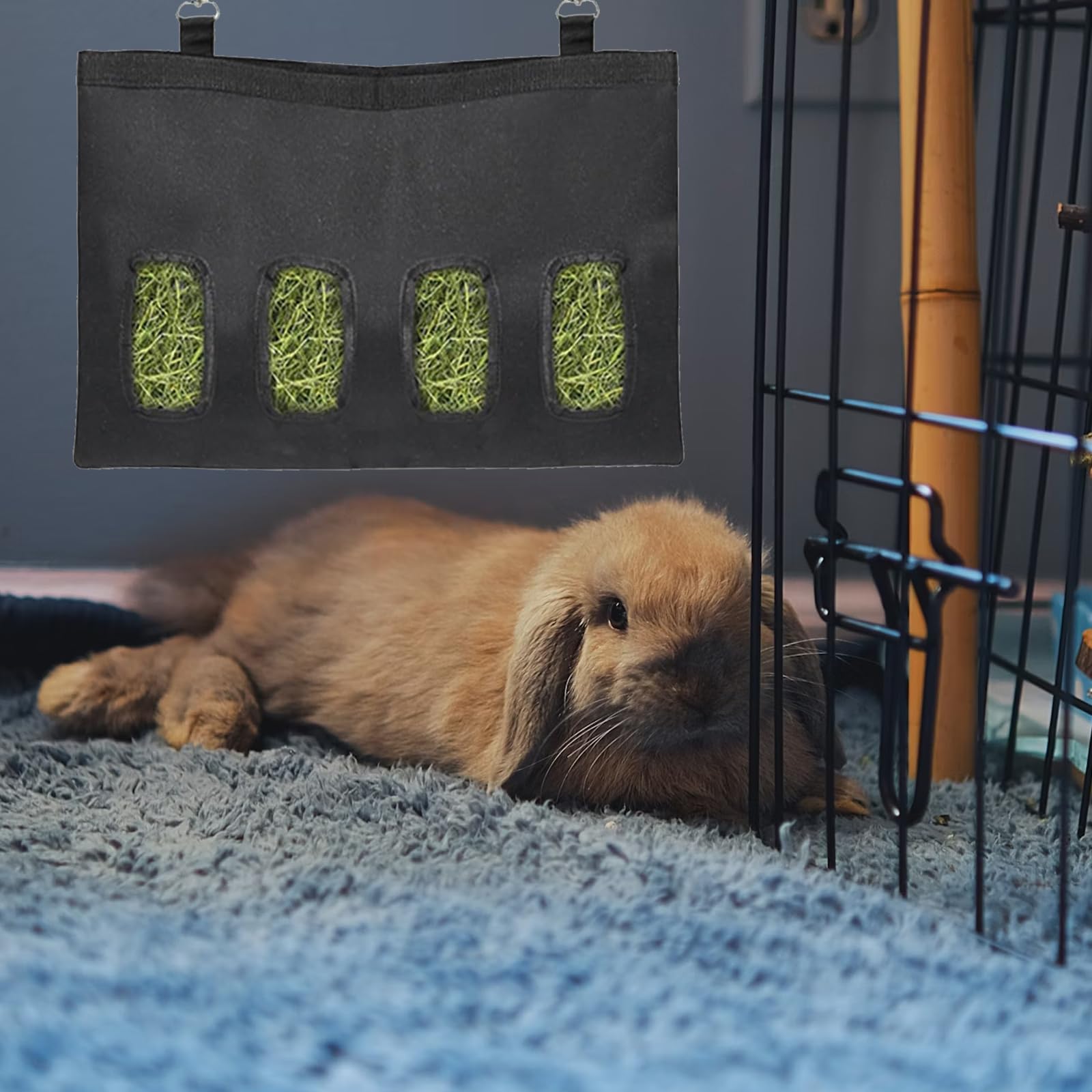 Sac à Foin pour Lapin, Distributeur Automatique Suspendu avec 4 Fenêtres, Noir