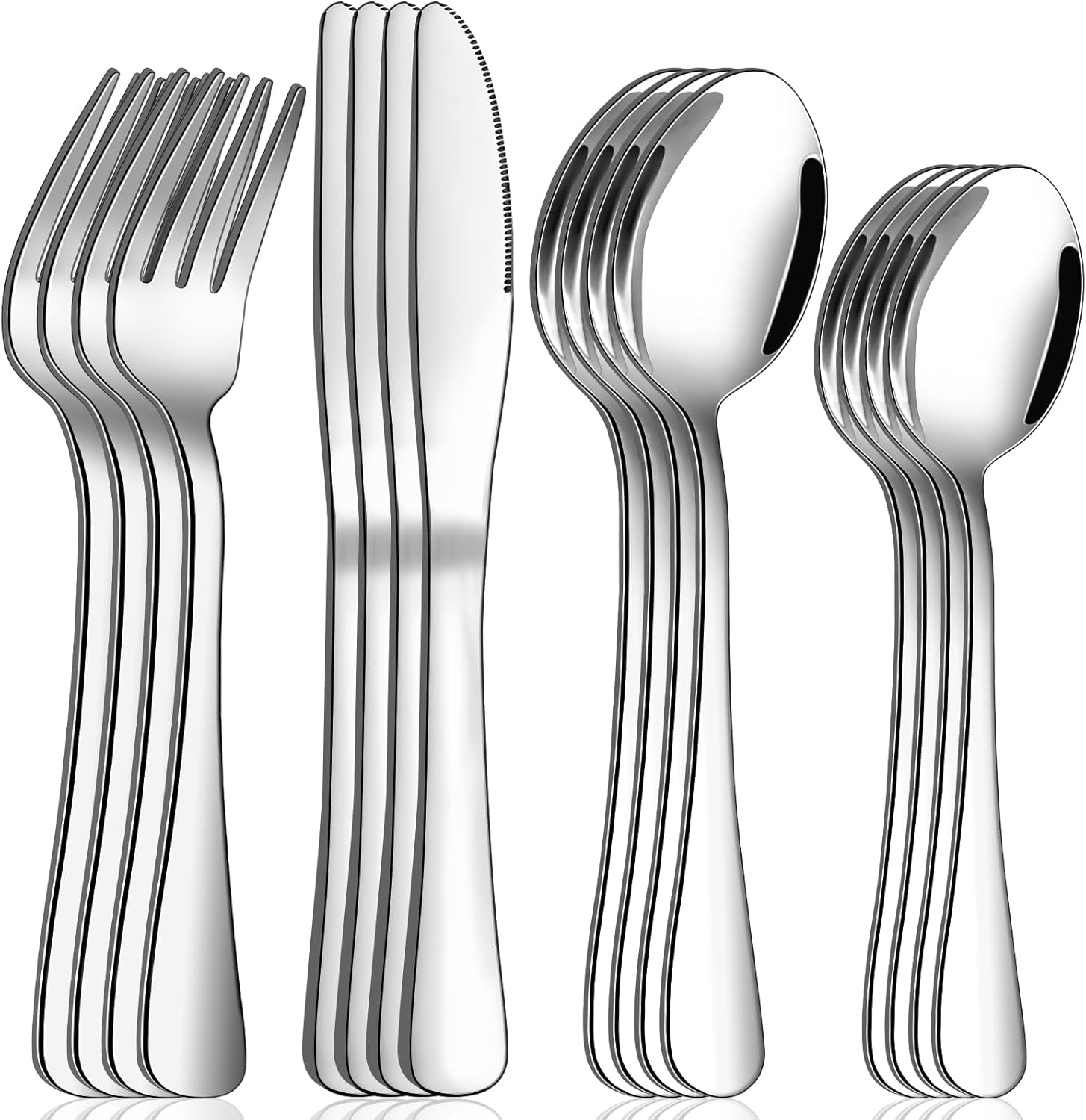 16 Piece Silverware Set Service for 4 Wildone Stainless Steel