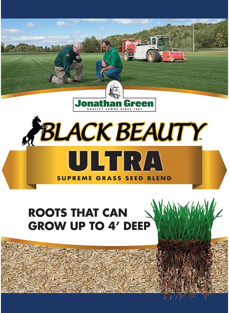 10320 Black Beauty Ultra Grass Seed, 1 lb