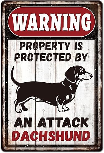 Miniatura 10 de GLOBLELAND Letrero de metal divertido de 12 x 8 pulgadas con objetivo de advertencia vintage, letrero de metal para pared, placa de metal retro