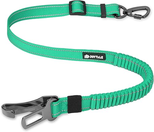 Joytale 3-in-1 Bungee Dog Seat Belt for Car, Medium and Large Dogs, Teal