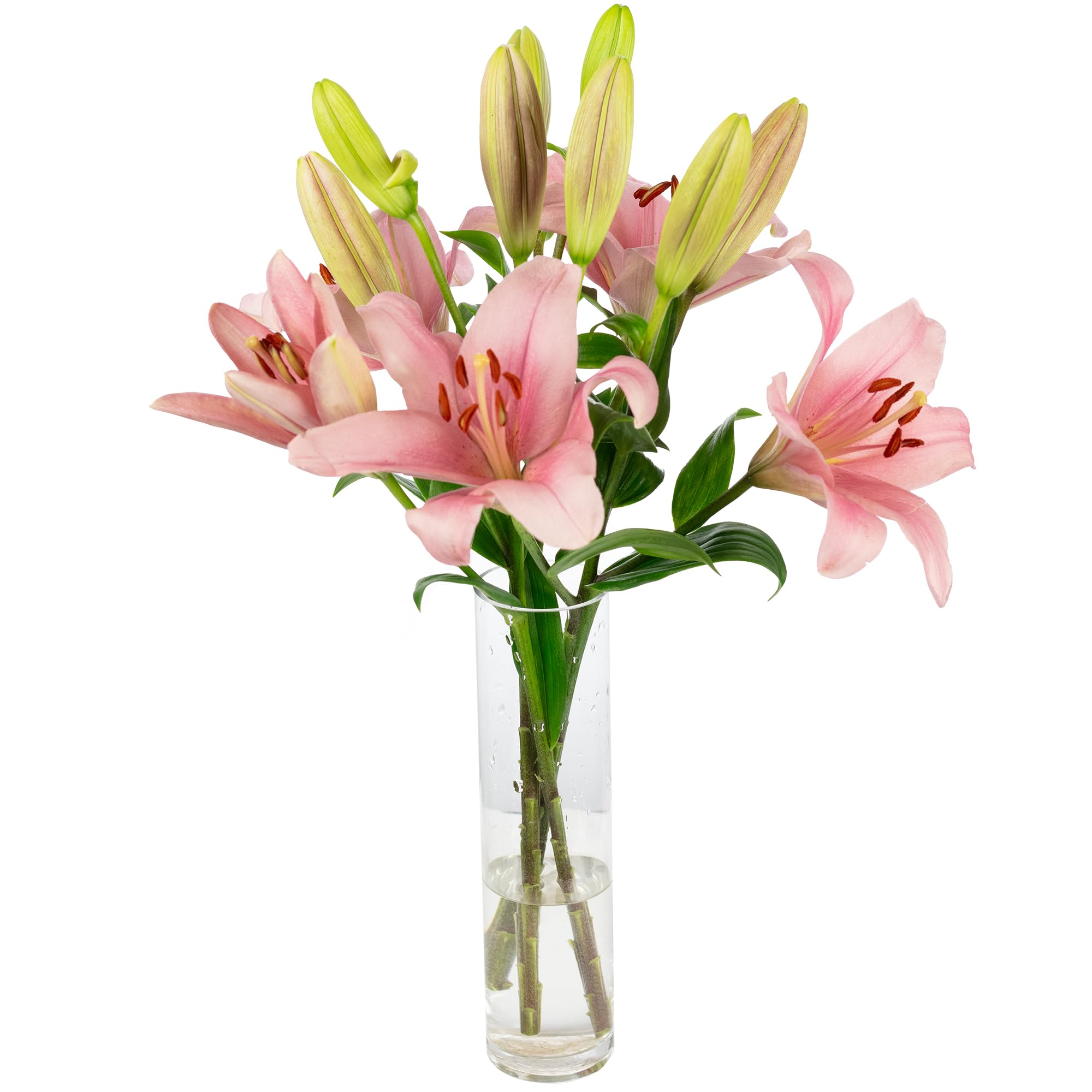 Blumenstrauß 'Lily Grace' - Größe S - Stiellänge ca. 40 cm - Strauß frischer Blumen