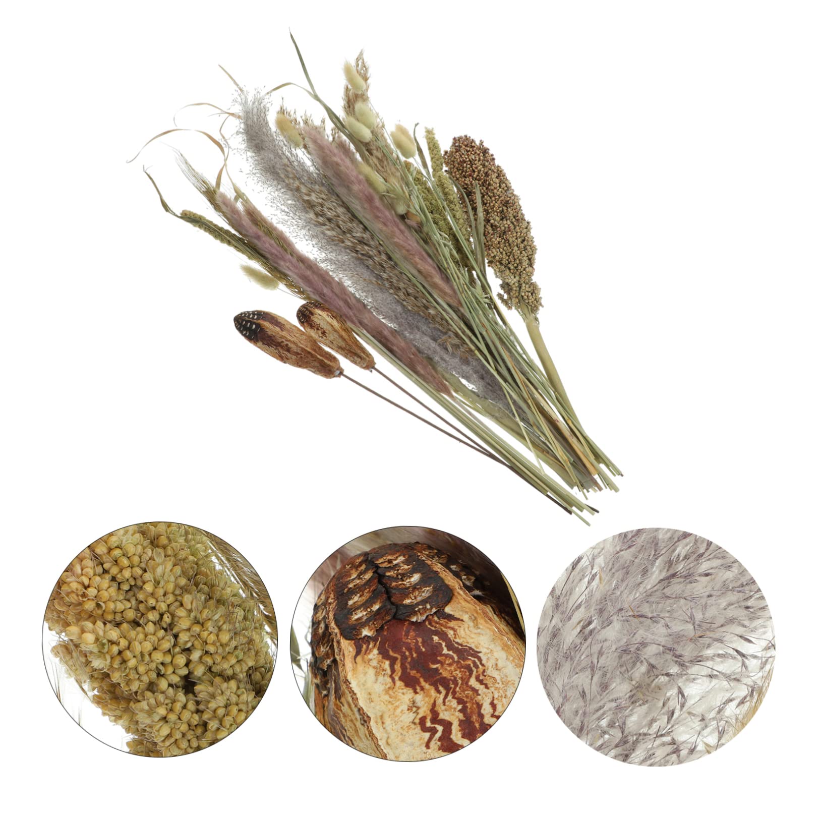 Abaodam 2pezzi Bouquet Di Pampa Essiccati Naturali Per Decorazioni Domestiche Composizioni Floreali Dried Broomcorn Per Matrimoni e Eventi Adatti Stili Boho e Rustici