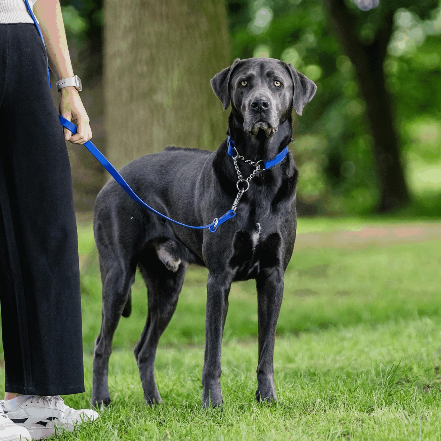 Sprenger BioThane® Hundeleine 3-Fach verstellbar, 2,3 m – extrem reißfest, pflegeleicht, wasserabweisend, für große Hunde, Blau