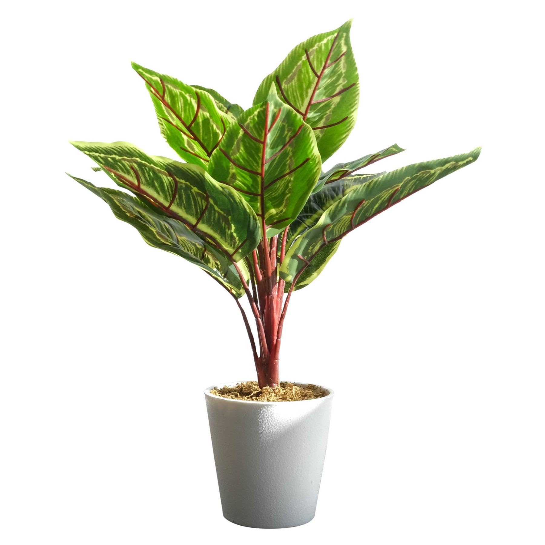 Leaf 38Cm Calathea Realistic Artificial Potted Foliage Plants,