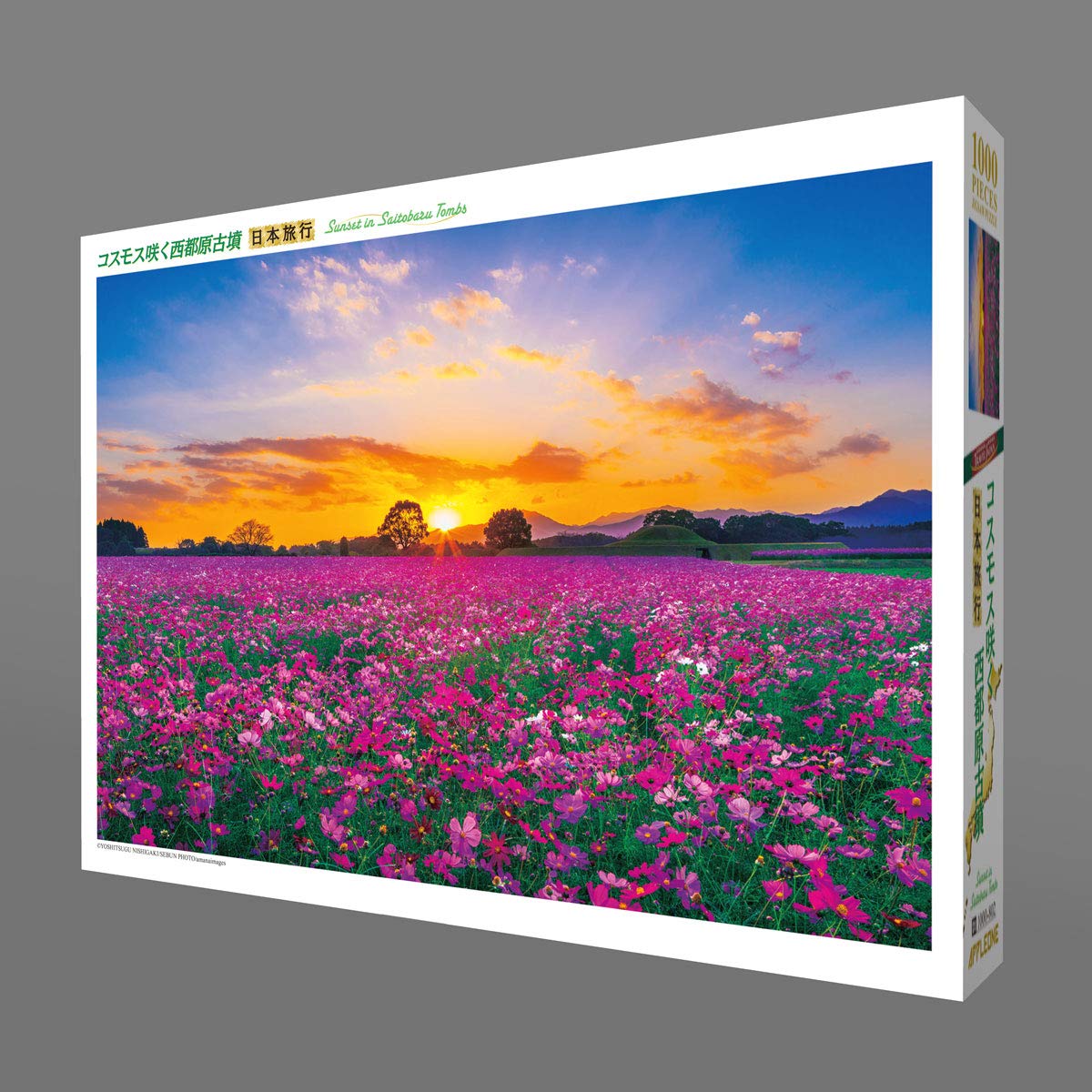 【希少】【未開封】B.MOCK バーバラ・モック 秋桜 コスモス ジグソーパズル Amazon.co.jp: 1000ピース ジグソーパズル コスモス咲く西都原古墳