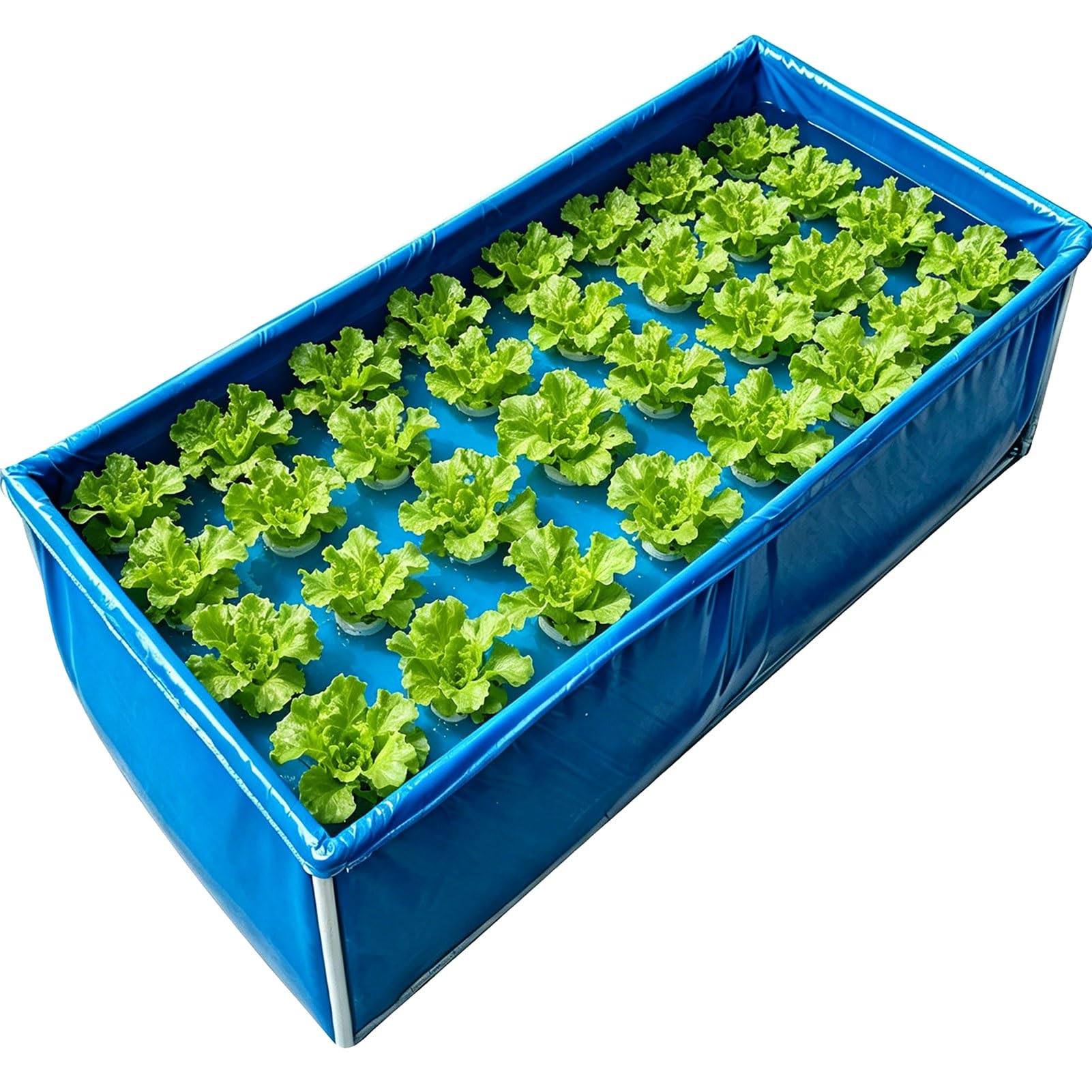 Citerne d'élevage de crevettes et poissons avec ce réservoir hydroponique 4x3m