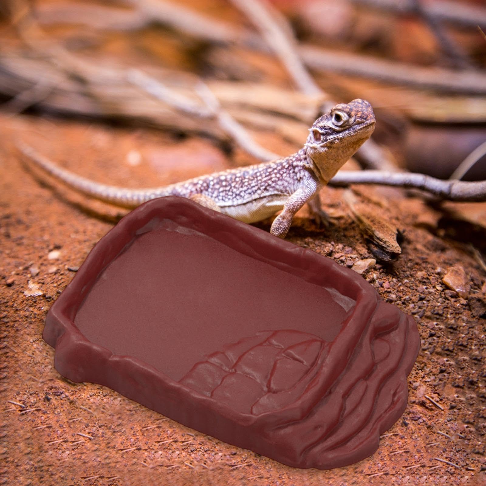 MYCENSE Reptile Ramp Food Bowl Terrarium Anti Slip Amphibian Feeding Dish for Hamster Gecko Leopard Gecko Terrarium Decor Decoration, L