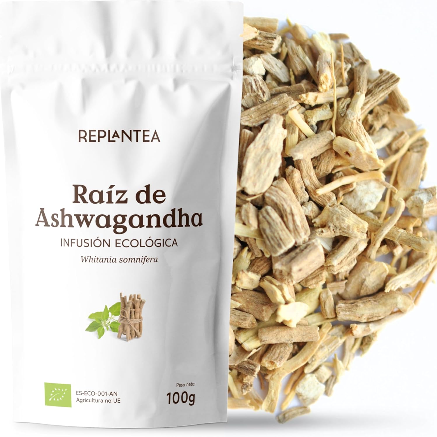 REPLANTEA Organic Ashwagandha Root Tea 100g | Adaptogenic Herbal Infusion for Stress Support | Natural Relaxation & Sleep Aid | Loose Leaf Withania Somnifera
