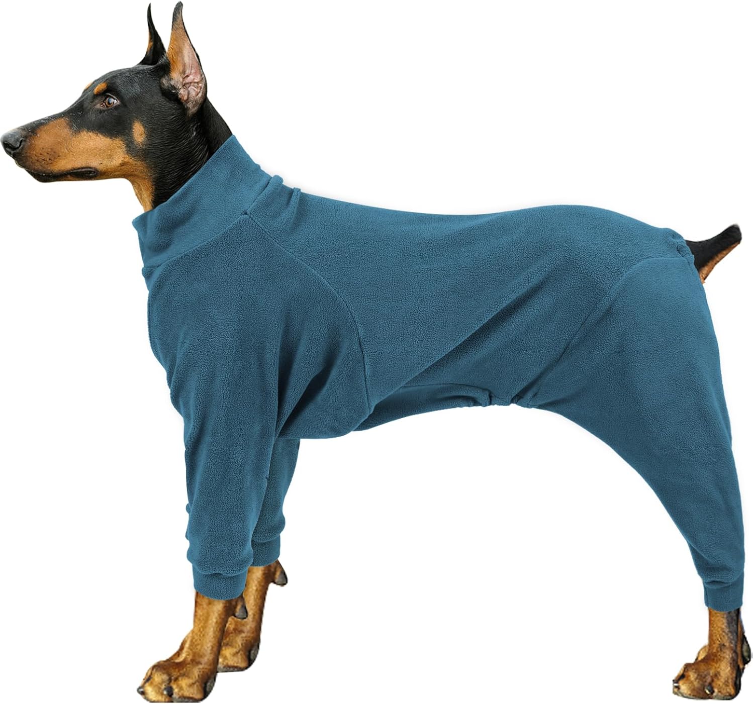Dog Winter Coat for Small Medium Large Dog Run Walk Sleep Pet Warm Fleece Sweater & Windproof Pajamas Snow Jacket Large Turquoise
