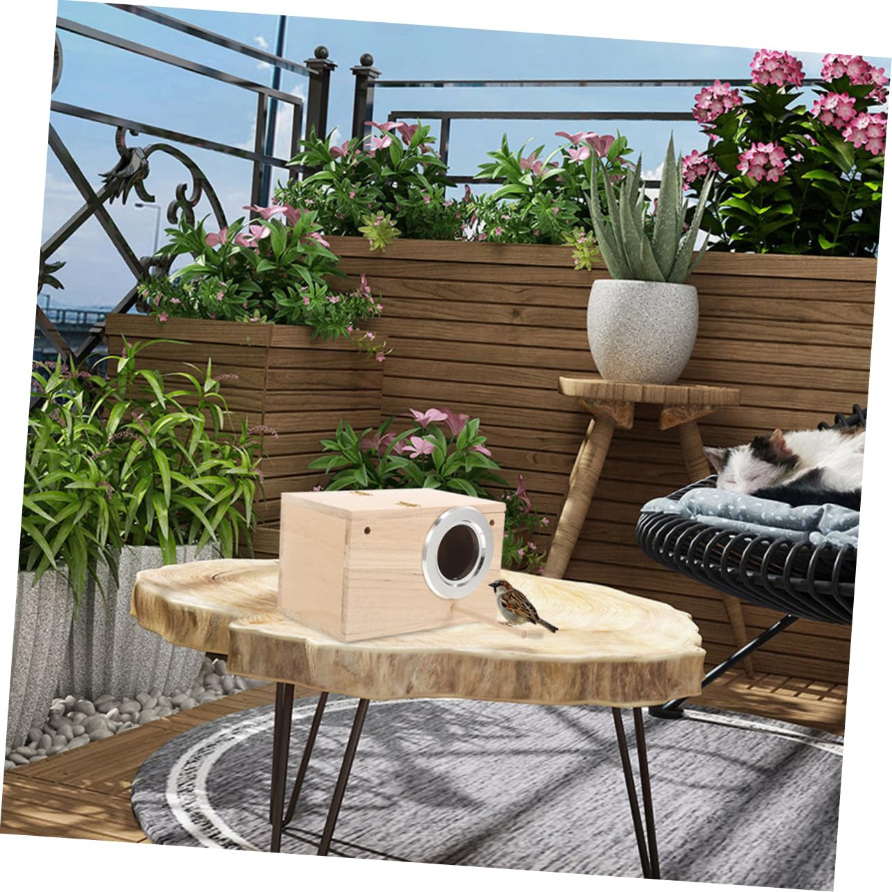 Nido in Legno per Pappagalli e Parrocchetti Rifugio per Uccelli da Giardino Accessorio per Calopsitte e Altri Uccelli Domestici Favorisce Riproduzione e Incubazione Facile da