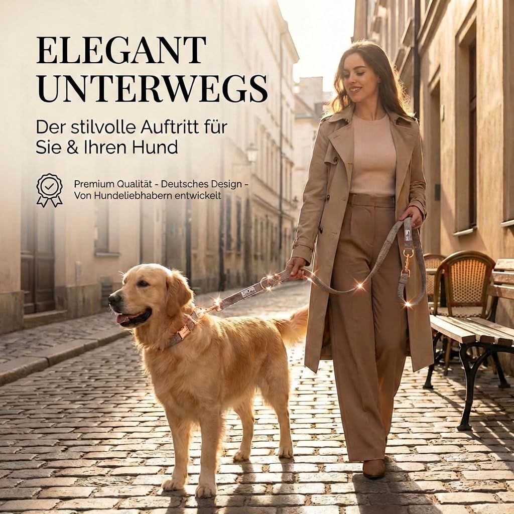 FREUDENTIER Hundehalsband und Hundeleine 2m im eleganten Set - Hundeleine verstellbar - Inkl. Geschenkbox - Für kleine, mittelgroße & große Hunde - Classic Kollektion, Das Original (37-58cm)