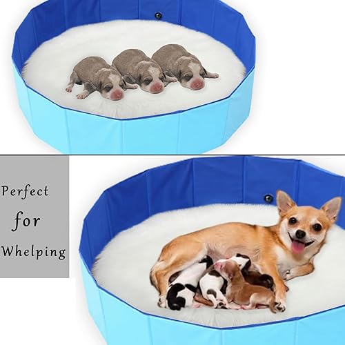 Miniatura 4 de Piscina plegable para perros grandes, piscina portátil y plegable para mascotas, perros y gatos (L-32 x 8 pulgadas)