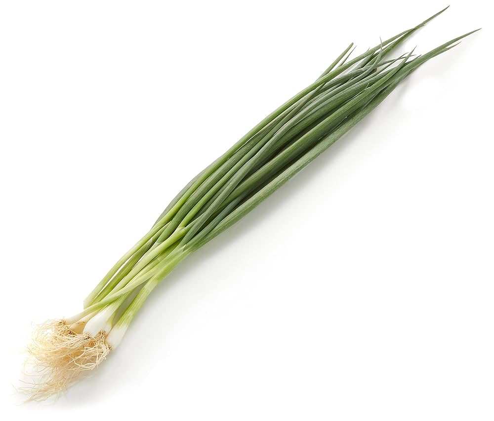 negiねぎ 71Zsnm4ieUL._UF350,350_QL50_.jpg