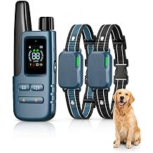 Dog Shock Collar with Remote, 4200FT Range, Fits Large Medium Small Dogs | Electric E Collar with 2 Channel Control,IPX7 Waterproof Receiver, 4 Adjustable Modes, Rechargeable Battery,Security Lock