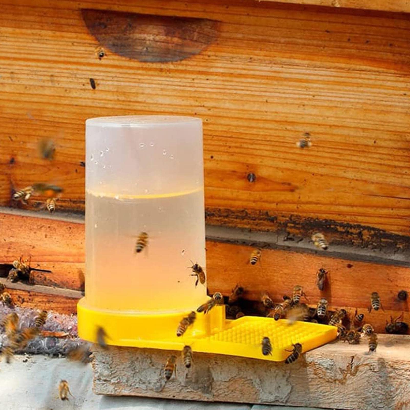 Lot de 5 distributeurs d'eau pour abeilles, entrée d'abeilles, abreuvoir pour abeilles, équipement d'apiculture, équipement d'apiculture, outil d'apiculture