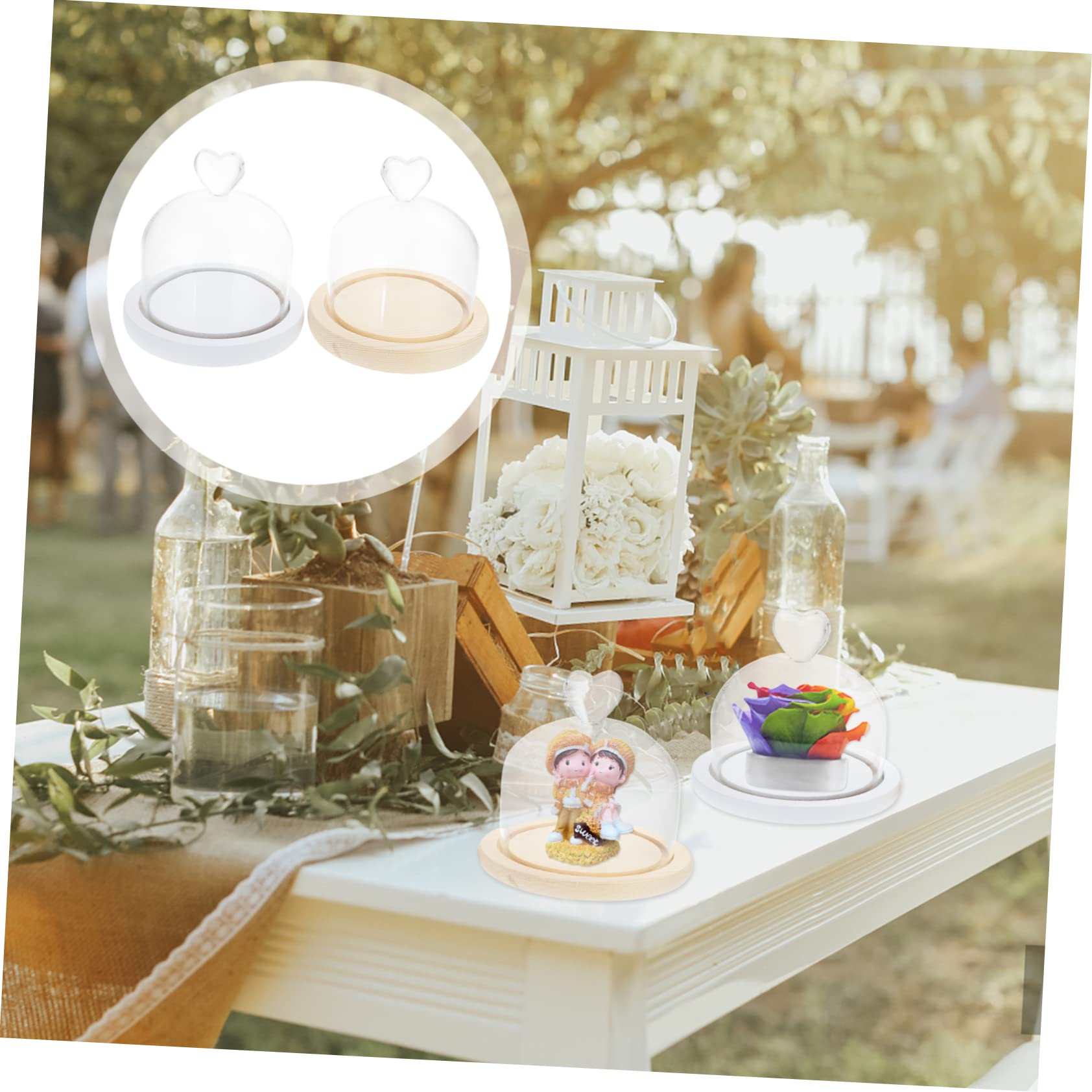 Homoyoyo 2 Stück Glasdome mit Holzsockel Dekorativer Glaskuppel für Trockenblumen und Mikro Landschaften Tischdeko für Wohnzimmer Hochzeit Weihnachten und Besondere Anlässe