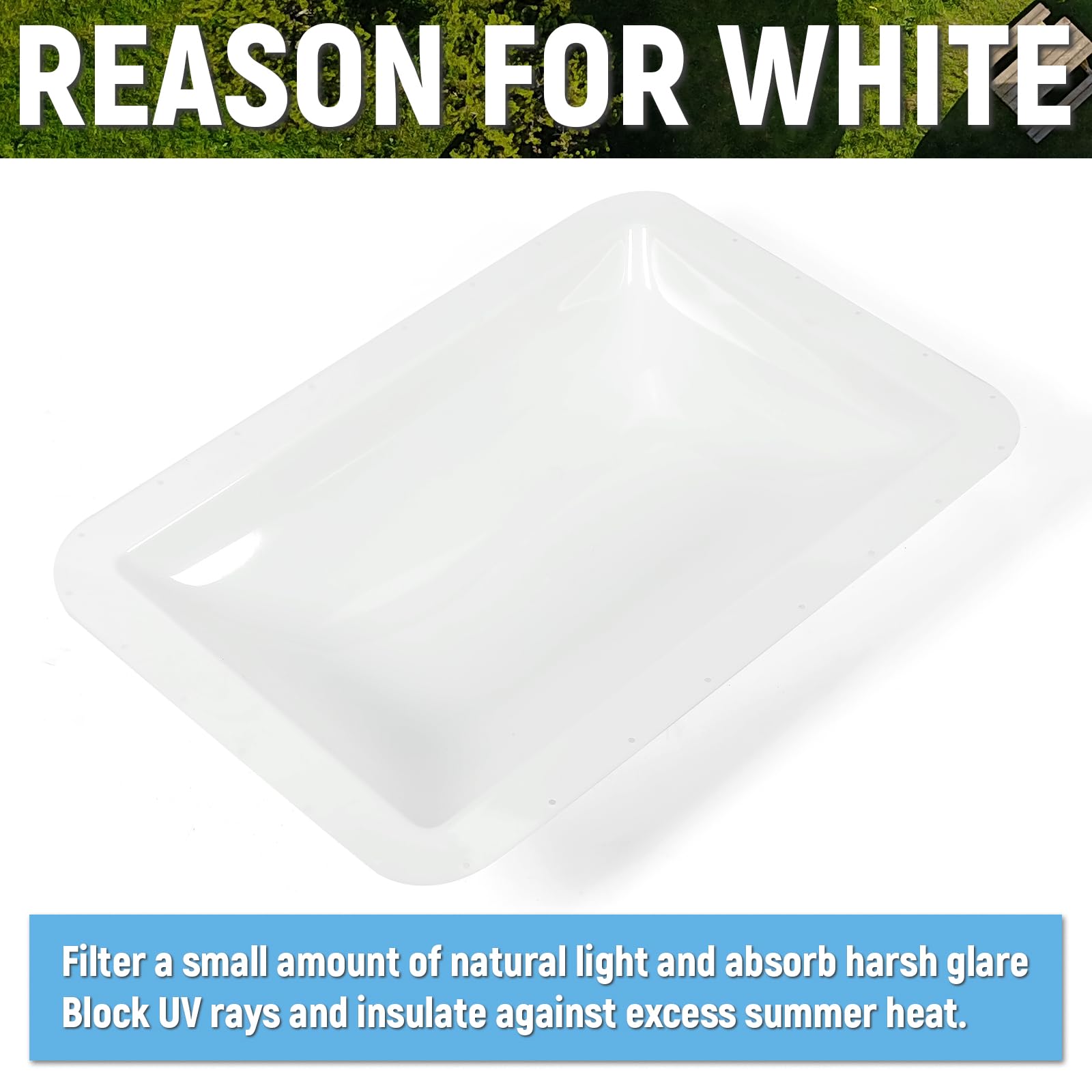 https://m.media-amazon.com/images/I/71VvGckOkDL.jpg