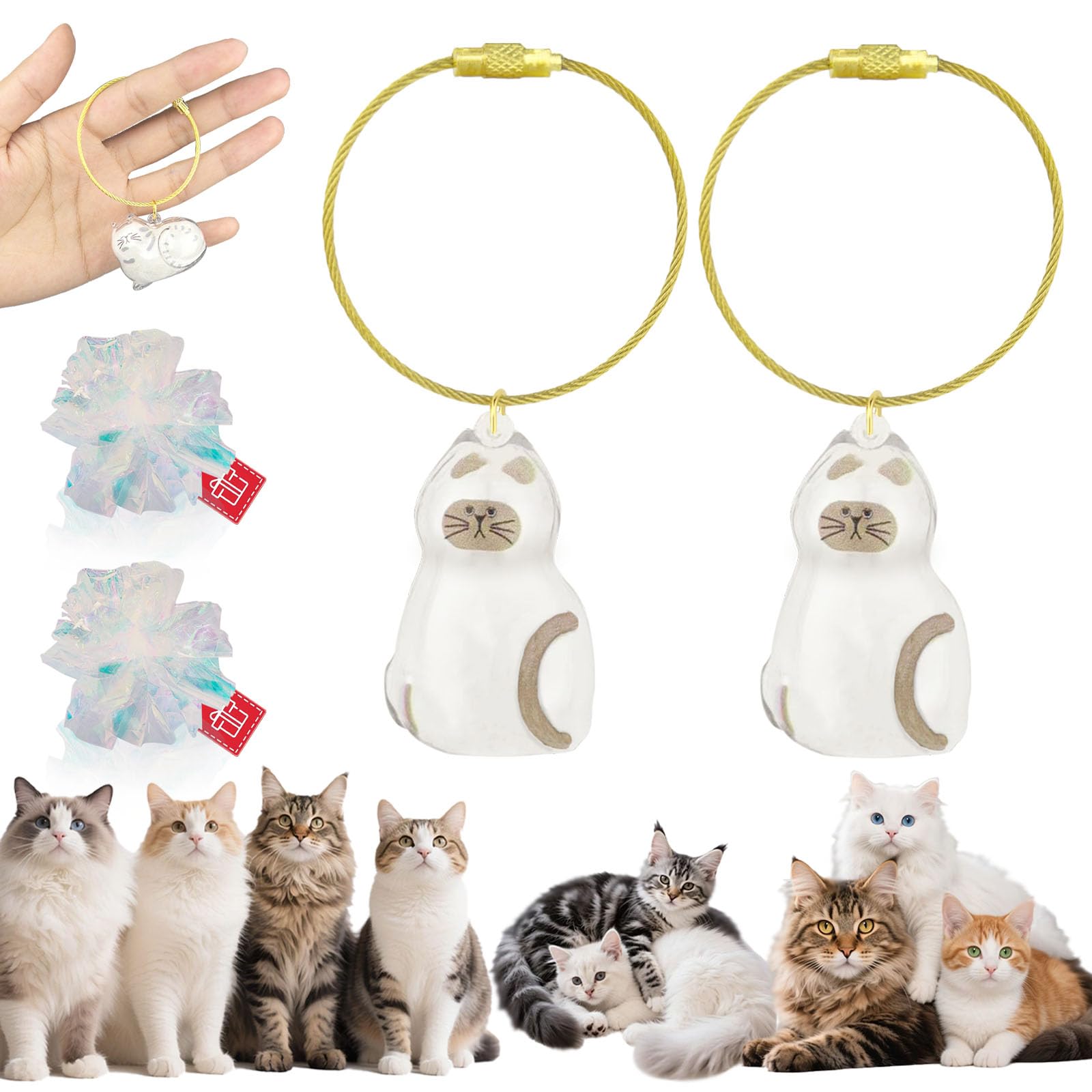 ZPSOX Cat Hair Keychain, 2Pcs Cat Hair Storage Bottle，Pet Fur Keepsake,Storage/Memorial Keychain,Cute Pet Memorial Gifts,[D Model]