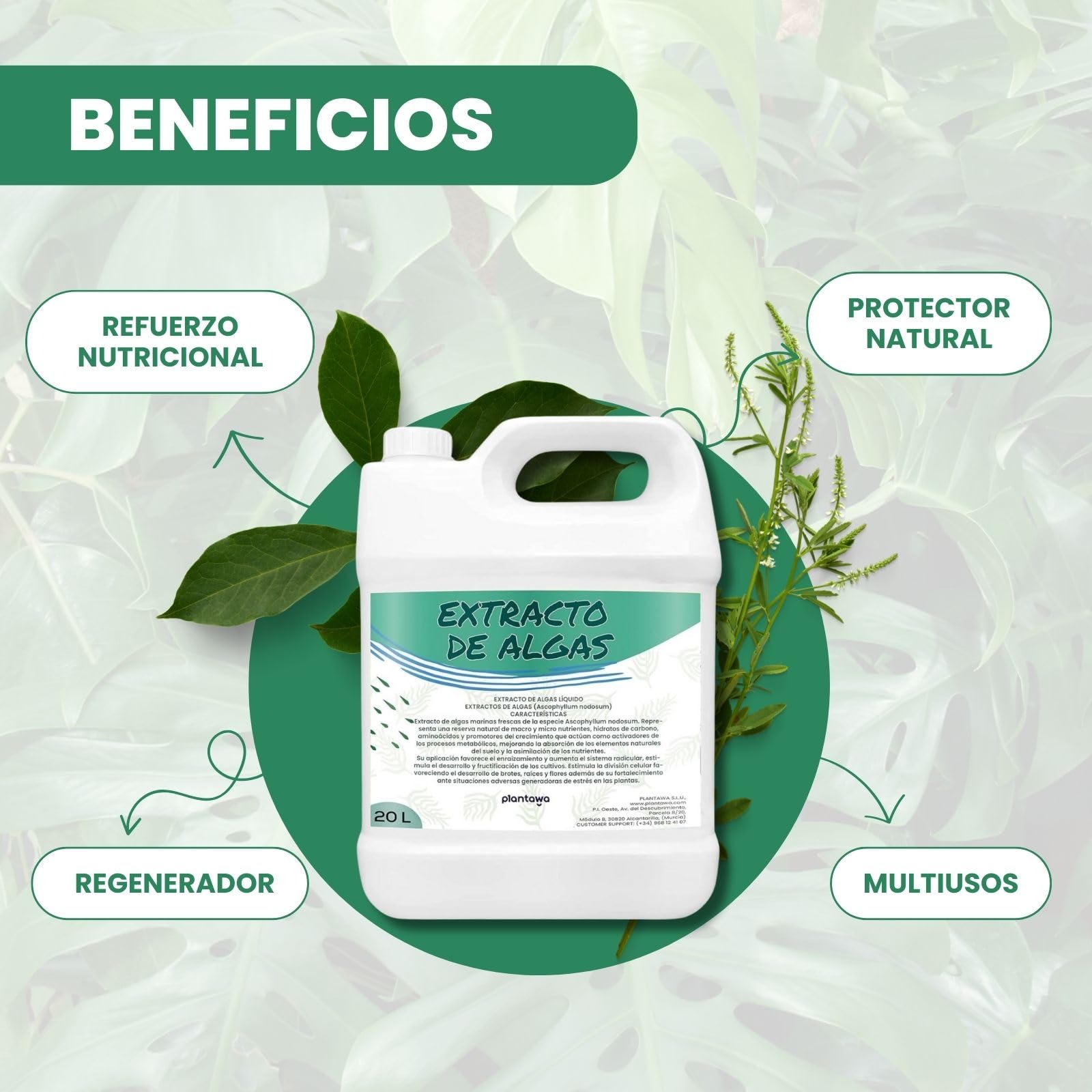 PLANTAWA Extracto de Algas Marinas 20L | Refuerzo Natural para el Cuidado y Nutrición de Superficies y Entornos | Acción Eficaz y Seguro | Enraizante y Micorrizas.