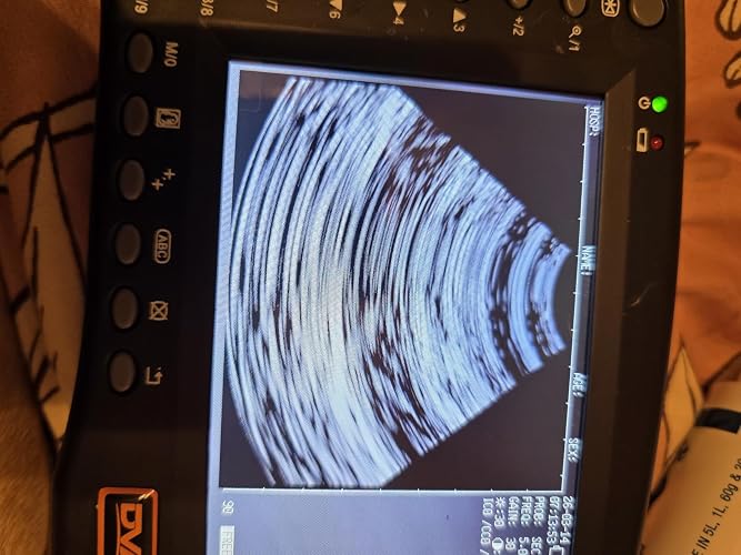 Review Image by Sarah Livesay
