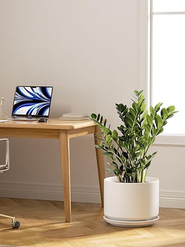 Miniatura 4 de LE TAUCI Macetas de cerámica, macetas de 10 + 12 pulgadas para plantas, macetas de interior para el hogar y la oficina, macetas modernas para