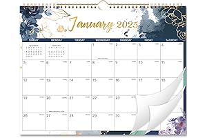 Daily Organizing and Planning for 2025 with an Academic Wall Calendar