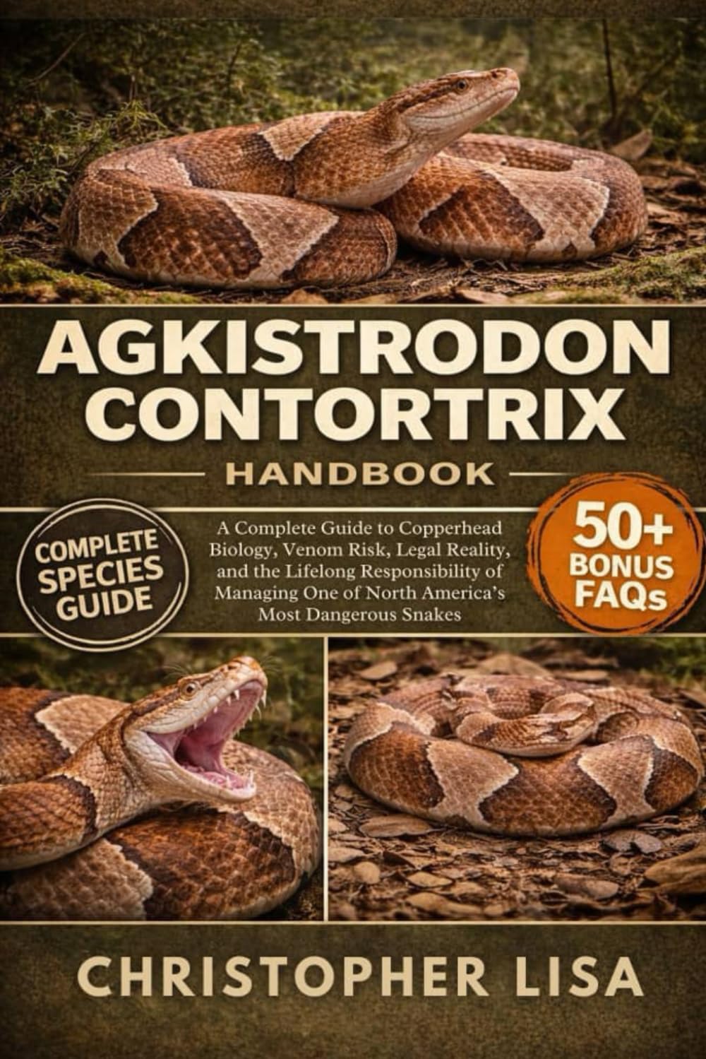AGKISTRODON CONTORTRIX HANDBOOK: A Complete Guide to Copperhead Biology, Venom Risk, Legal Reality, and the Lifelong Responsibility of Managing One of North America’s Most Dangerous Snakes