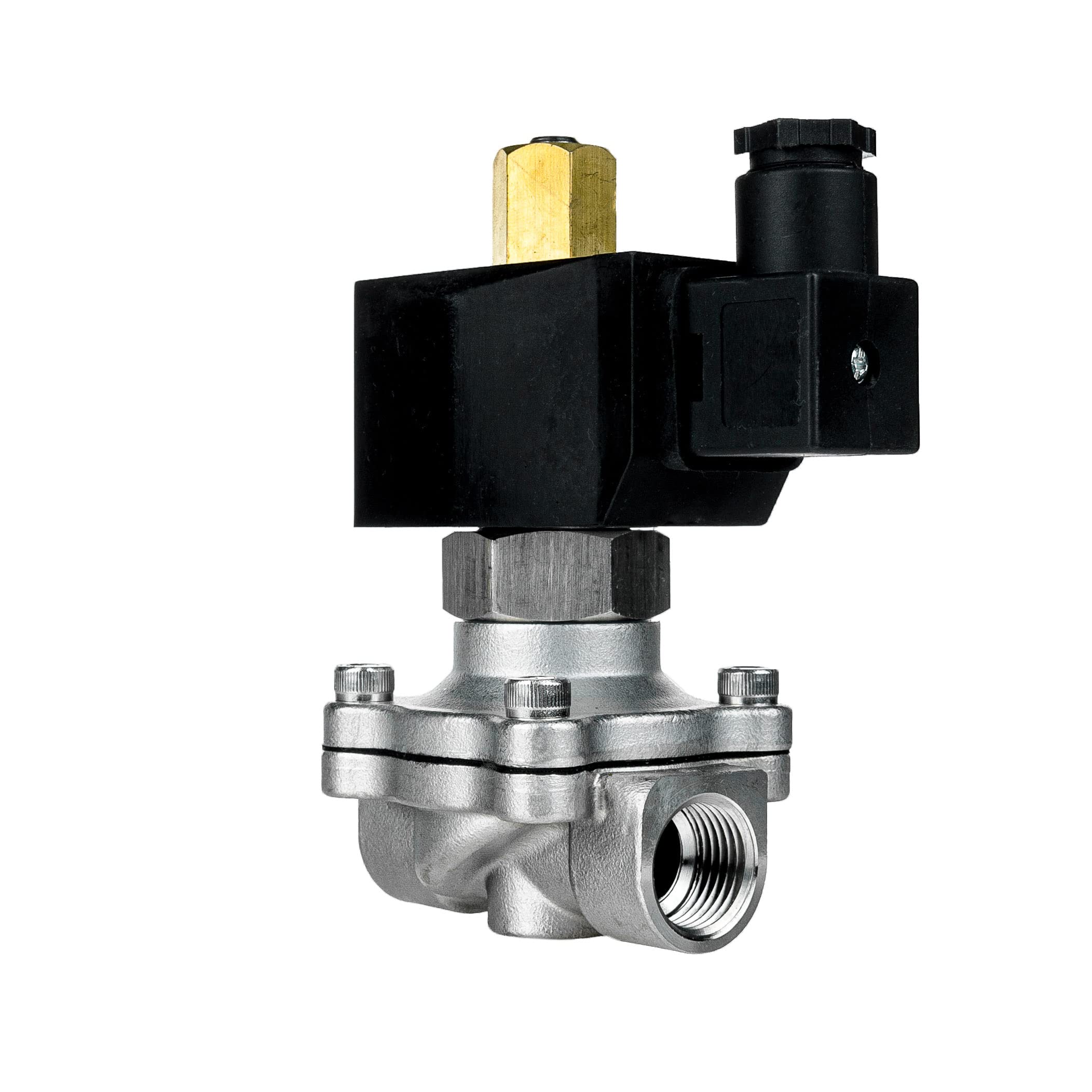 FSA électrovanne acier inoxydable 304 1/2" 12V DC 0-8 bar EPDM ouverte sans courant