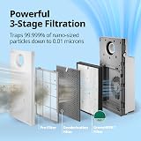 COWAY Air Purifier with Customised Airflow – MegaJet Technology for Targeted or Wide Coverage, Whisper-Quiet Sleep Mode 20dB, Removes 99.999% of particles up to 0.01 µm, CADR 402 m³/h – AIRMEGA JET - 4