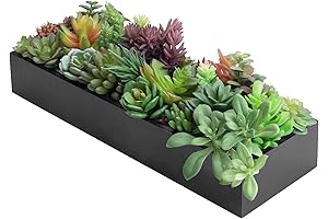 SLEEK BLACK WOODEN SUCCULENT ARRANGEMENTS