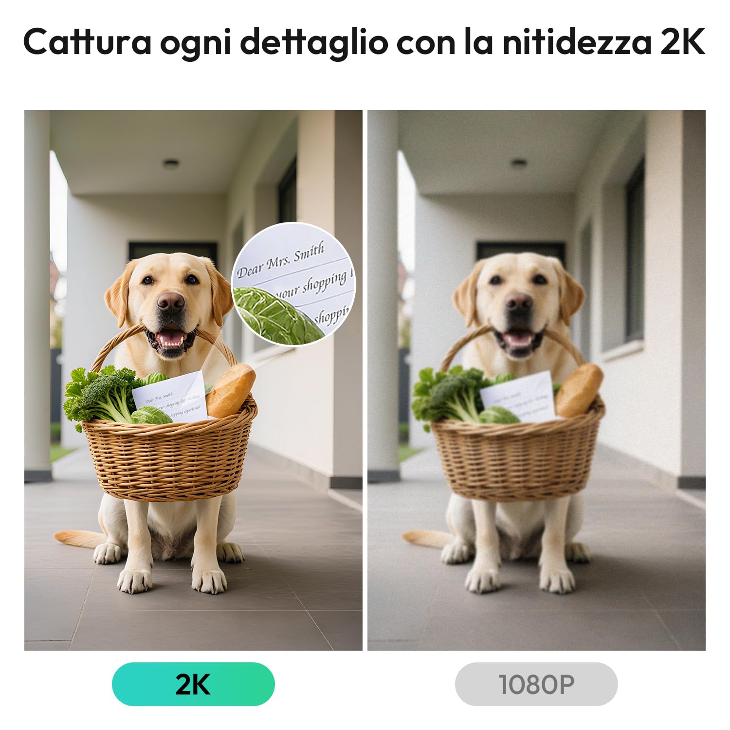 BOTSLAB 2K Videocitofono Wi-Fi 2,4 GHz con Chime, Rilevamento e Avvisi di Uomo, Video Campanello, Audio Bidirezionale, Visione Notturna a Infrarossi, Impermeabile IP66 - Nero