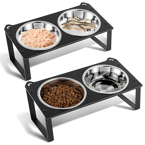 2 Set Elevated Cat Food Water Bowls, 4 Stainless Steel