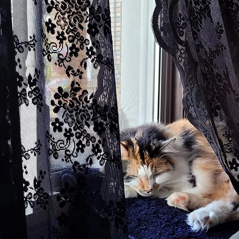 YJ YANJUN Black Sheer Curtains 54 inch Length- Goth Victorian Kitchen Lace Curtain Panel Halloween Short Curtains for Bathroom Window Coffin/Witchy/Gothic Home Decor 52 x 54 Inch Black - Image 4