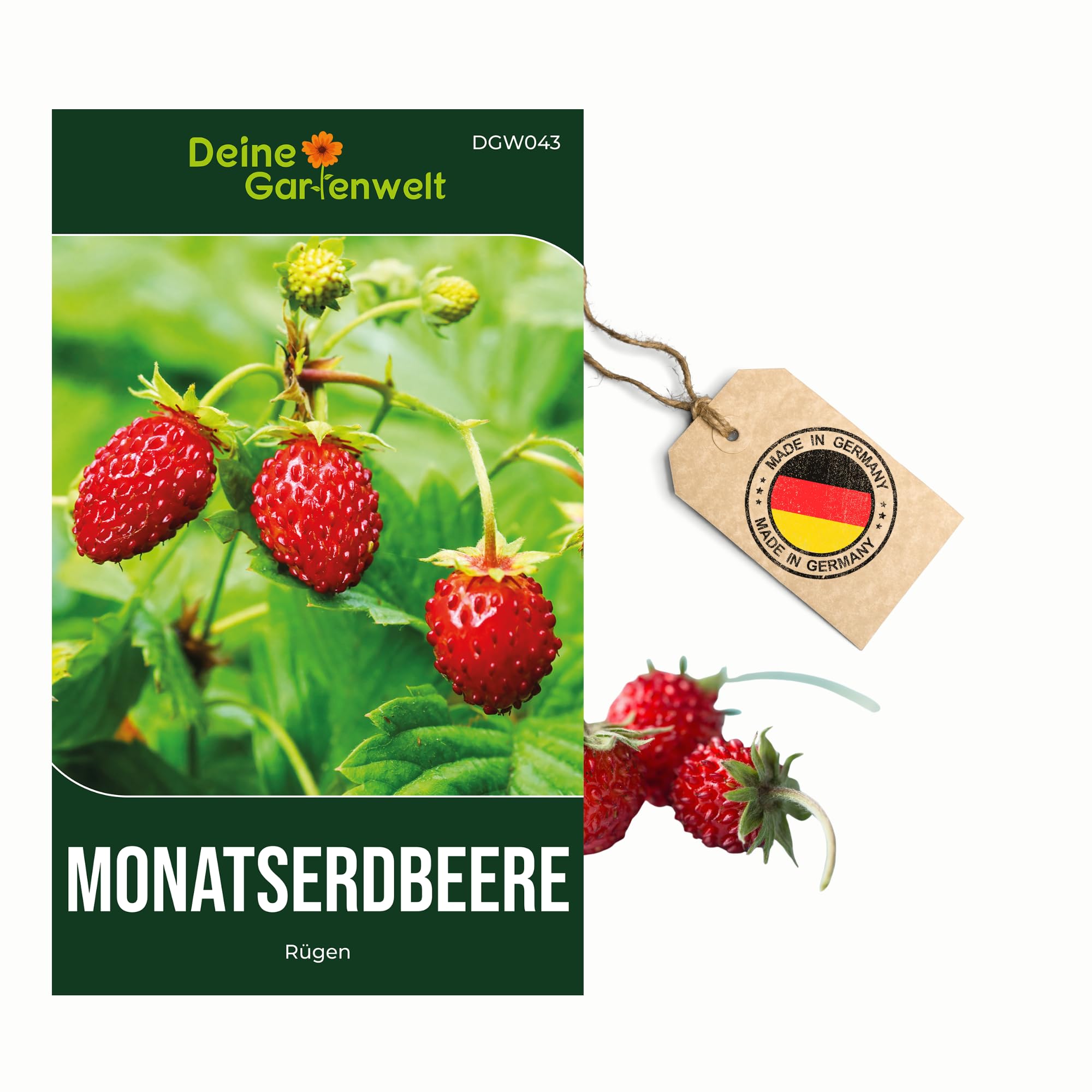 saatgut dosierer Einstellbarer Saatgutverteiler für präzise Aussaat – Saatgut sparen und  Ausdünnen reduzieren – The Farm Dream main image 1