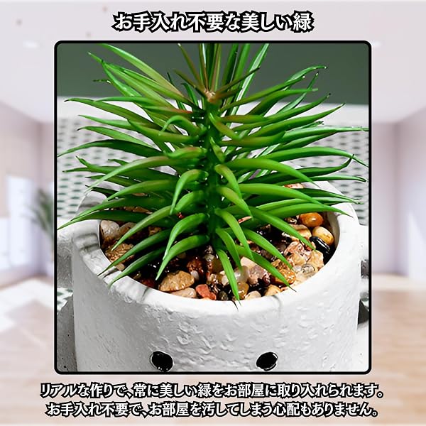 Charmoon 観葉植物 フェイクグリーン ミニ 手のひらサイズ かわいい リアル 映える ユニーク (小熊&チョビ髭) - 3