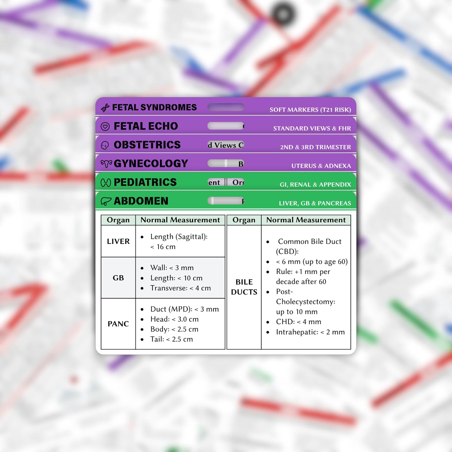 Abdomen, OB-GYN & Fetal Ultrasound Badge Reference Cards Set of 6-12 Sides Quick Reference Cheat Sheet for Sonography Student Must Haves, RDMS Registry Prep, Sonographer Gifts