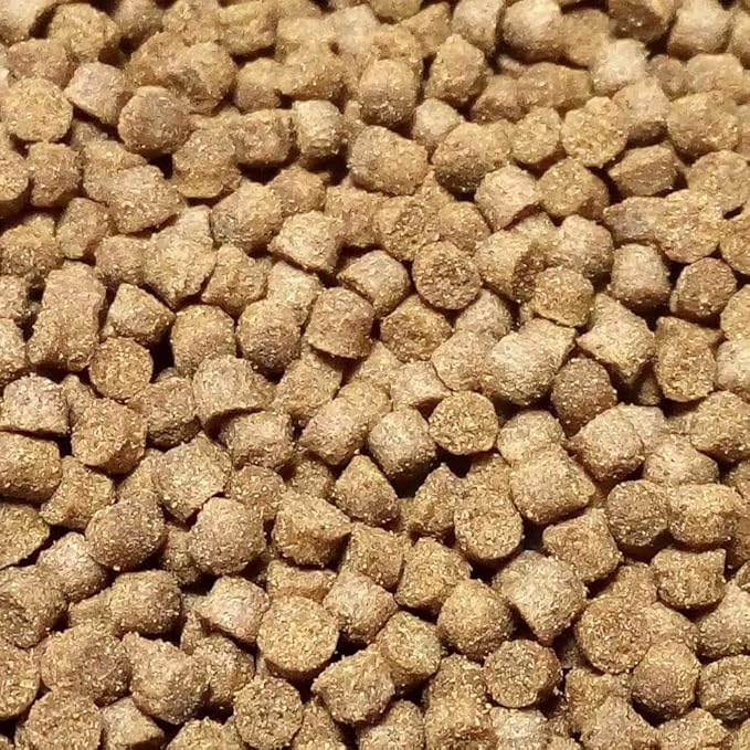 金魚 ザリガニの餌 おとひめep2 100g 日清丸紅飼料株式会社 餌 通販 Amazon 金魚 ザリガニの餌 おとひめep2 100g 日清丸紅飼料株式会社 餌 通販 Amazon