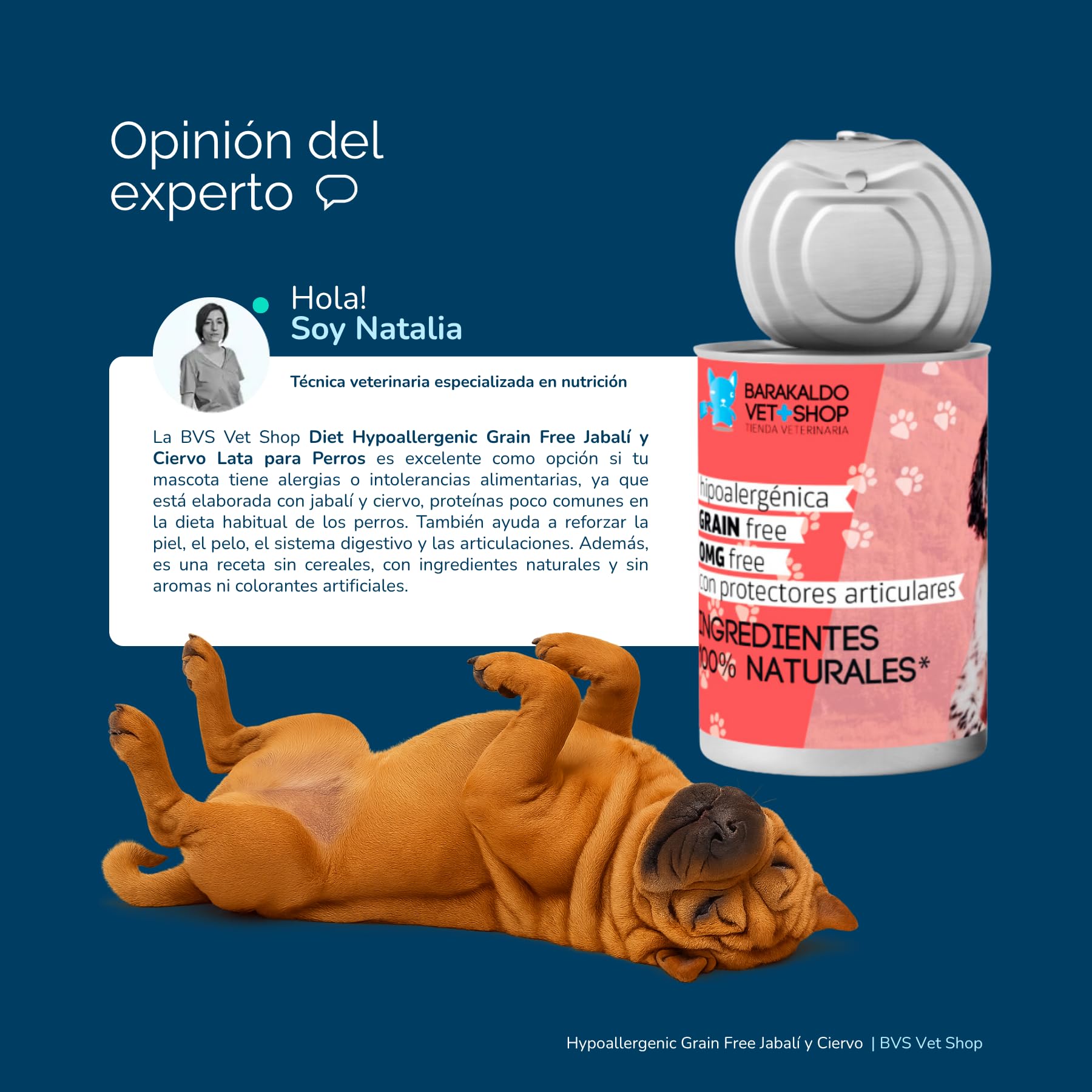BVS Vet Shop | Diet Hypoallergenic Grain Free Jabalí y Ciervo Lata para Perros | Ideal para Perros con alergias o intolerancias extremas desconocidas | 12 unid. x 380 gr