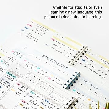KOKUYO Study Planner Notebook, 10'' x 7'' To-Do Management B5 Soft Ring Notebooks, 41 To Do Plan Sheets, Gray Spiral Notebook, Time Management (SU-SY111TD-M)