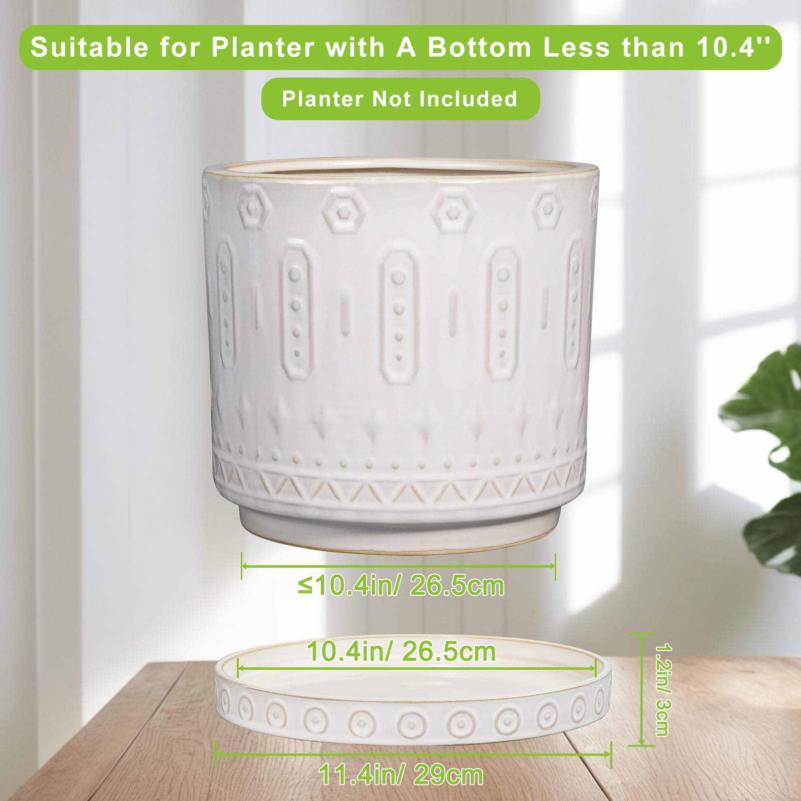 Cream White Plant Saucers - Drainage Trays -3 Cream White Plant Saucers - Drainage Trays -3